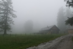 IMG_20200718_094544