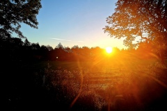 rhdr