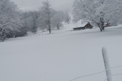 IMG_20210117_123253